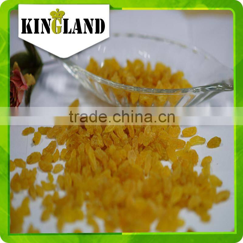 high quality green raisin from China