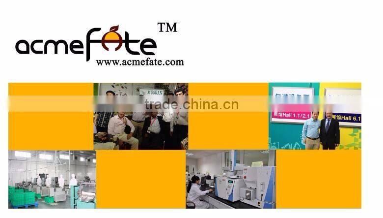 NEW CROP 100% Natural White Garlic Powder