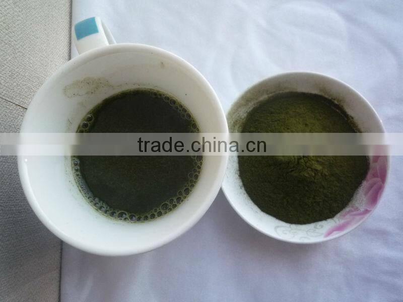 2015 Organic wheat grass extract powder