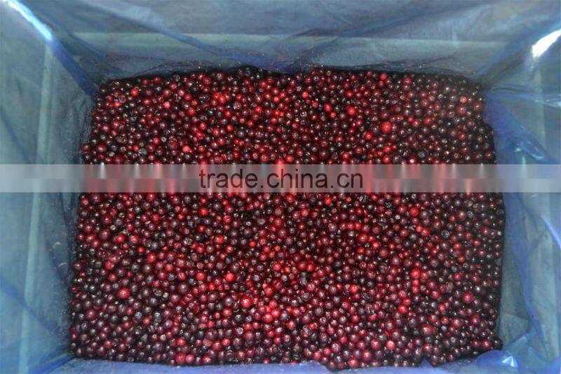 Frozen lingonberry