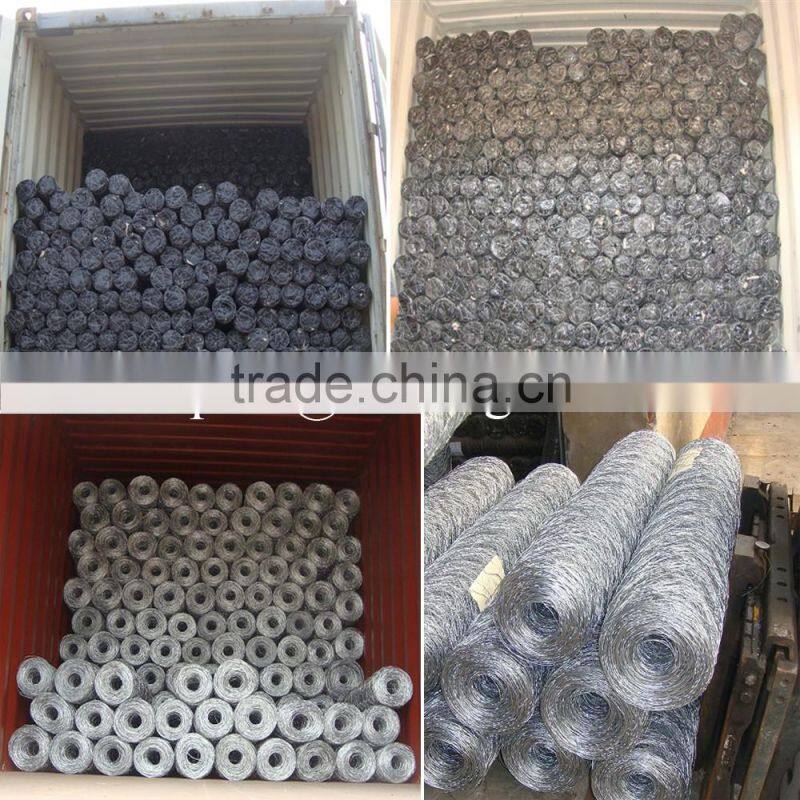 PVC coated Chicken Wire Mesh (Hexagonal Wire Netting)