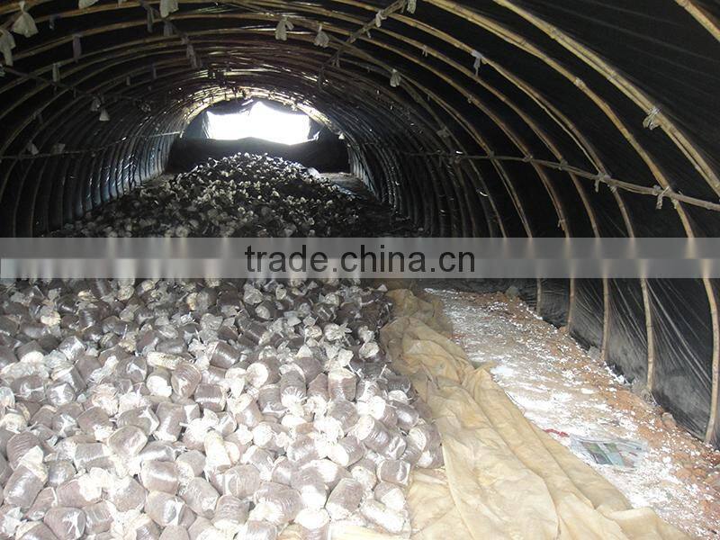 Mushroom greenhouse film, plastic covering film for mushroom growing house
