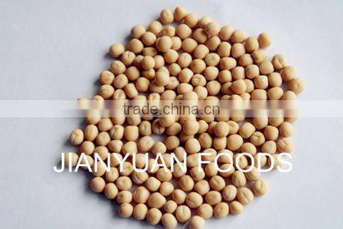 Food Grade Pea Dietary Fiber Powder