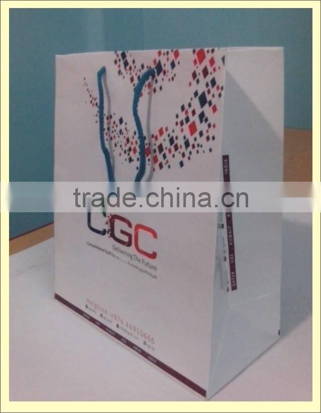 Paper Bags design logo and matte finish with rope handles