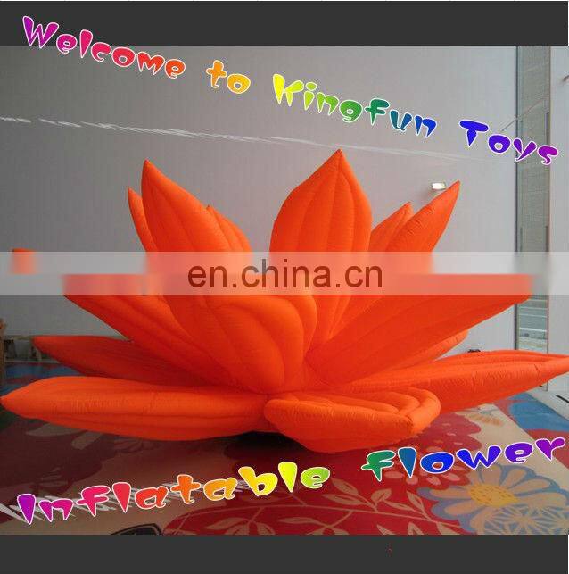 Carriage with Christmas decorations