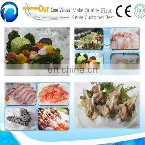 200kg-3 ton per day flake ice plant/home flake ice machine price