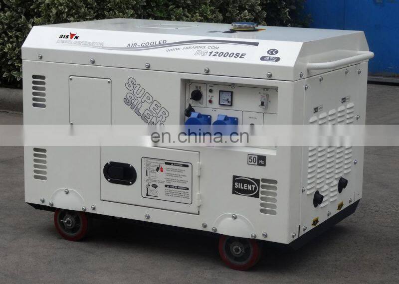 BISON(CHINA) AC Single Phase 7kw Diesel Portable Generator