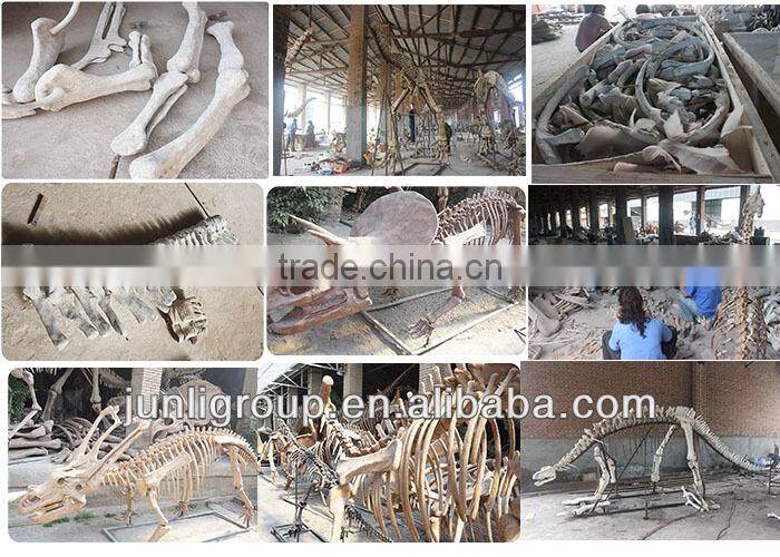 Lisaurus-J dinosaur skulls for exhibitions/amusement parks