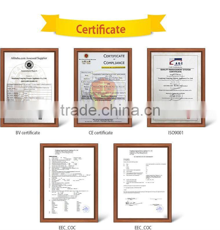 125cc Atv With Reverse Gear From Eglmotor