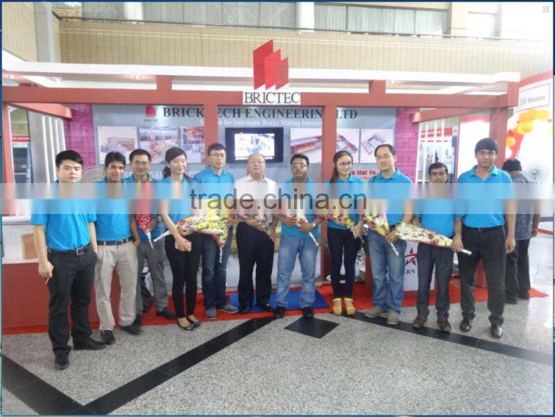 Hydraulic Pusher for Brick production line