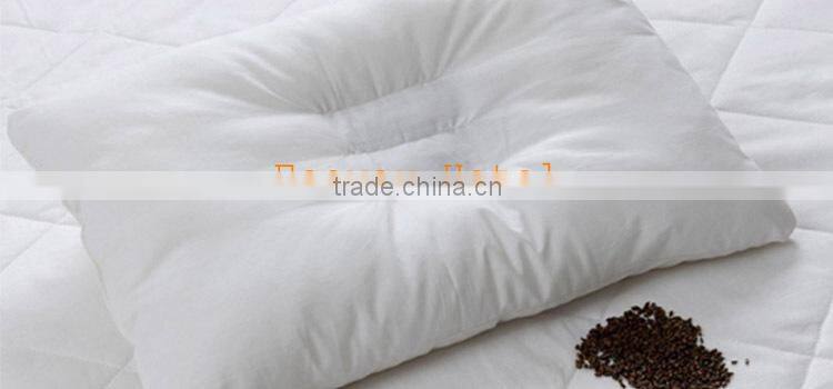 2014 hot sale hotel fashional healthy Semen Cassiae pillow