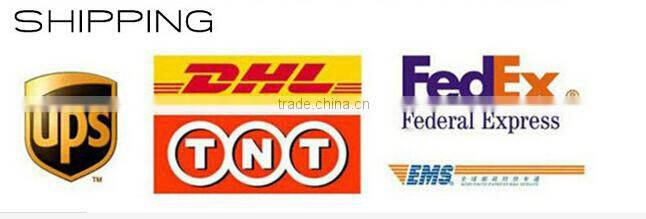 2015 Newest Fashion Men and Women Knitting Sport Dolphin Printing Short Socks