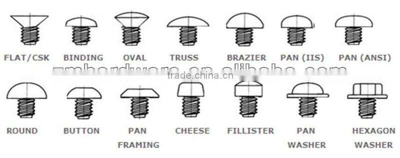 Square robertson head wood screws