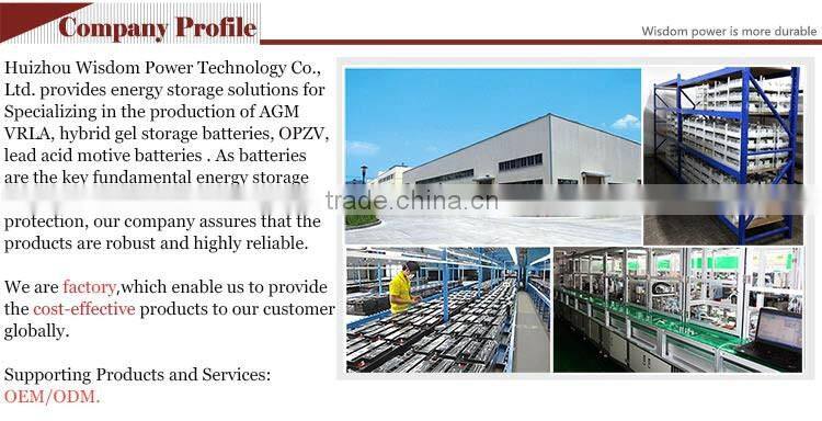 12 years float life renewable energy agm 12 volt deep cycle battery