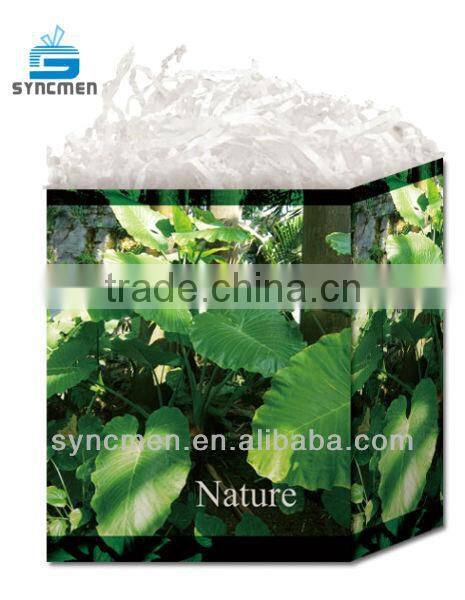 Custom Design Paper gift bag manufacturing