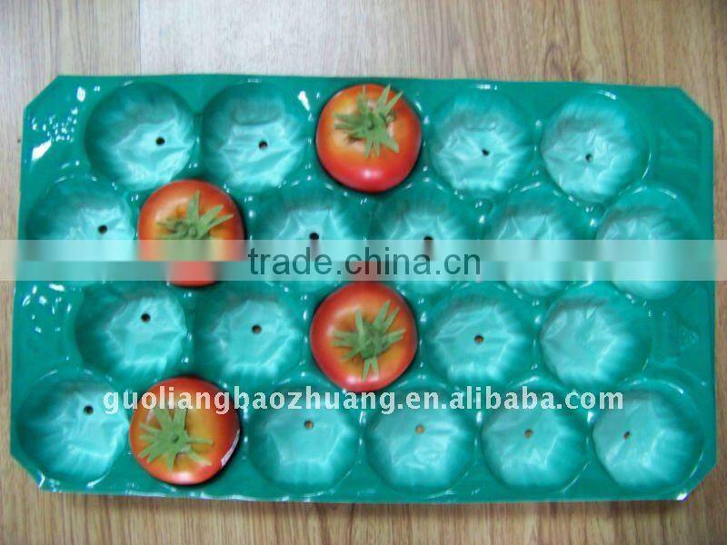 Green Packaging Insert