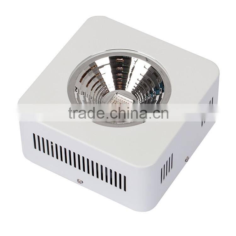 Shenzhen Lamp Manufactory Super Performance High Power 30W 50W 80W 100W 150W Chip on Board Lights 130W COB LED Plant Grow Lamp