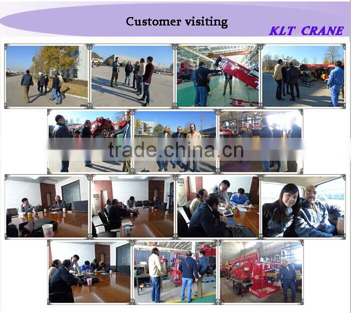 High quality and low price new modle PJ type 600kg balance crane