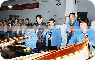 Cheap Double Thick Heavy Plush Raschael Mink Blankets