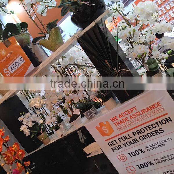 Artificial coated Phalaenopsis Orchids bonsai