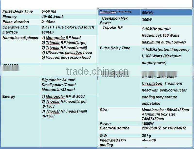 2016 Hot 5 treatment handles cavitation radio frequency ultrasonic facial beauty equipment for salon use