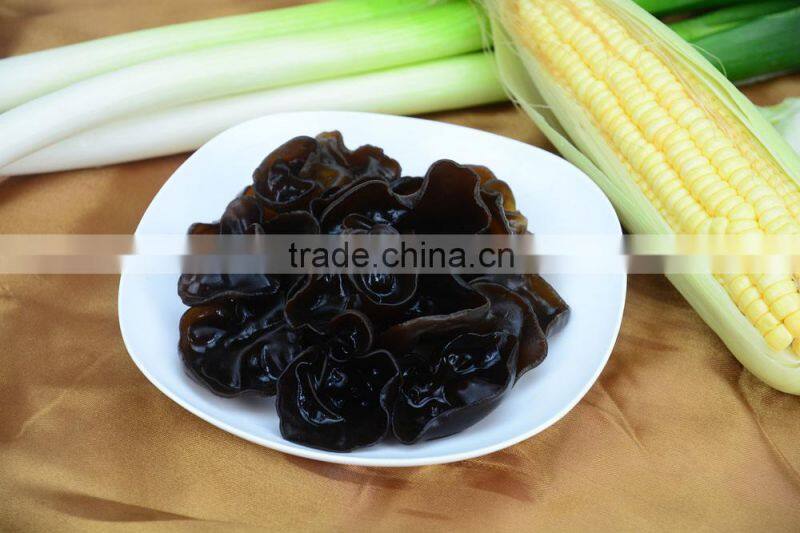 Dried Jew's Ear/ Wood ear mushroom/Cloud ear fungus