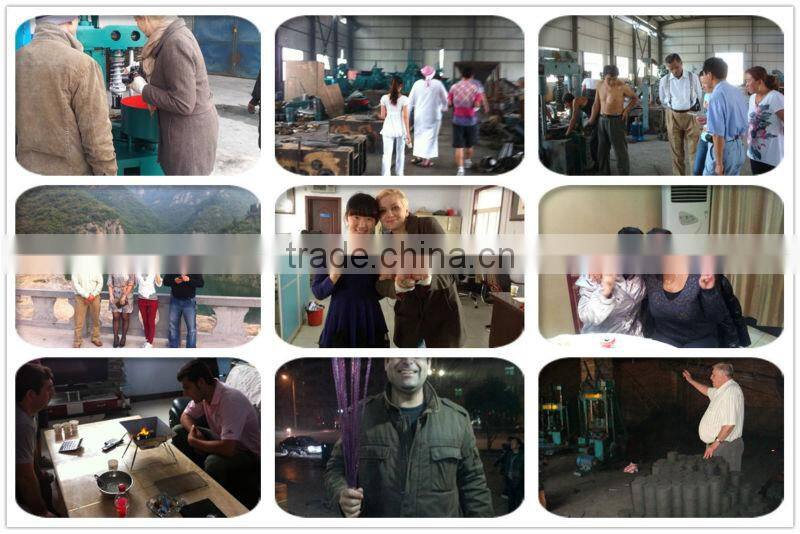 Liantian Mechnical with mature technology charcoal briquettes machine production line