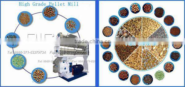 CE Approval High Quality Pellet Mill Manufactur/Poultry Feed Pellet Making Line Price/Animal Feed Pellet Machine Production Line