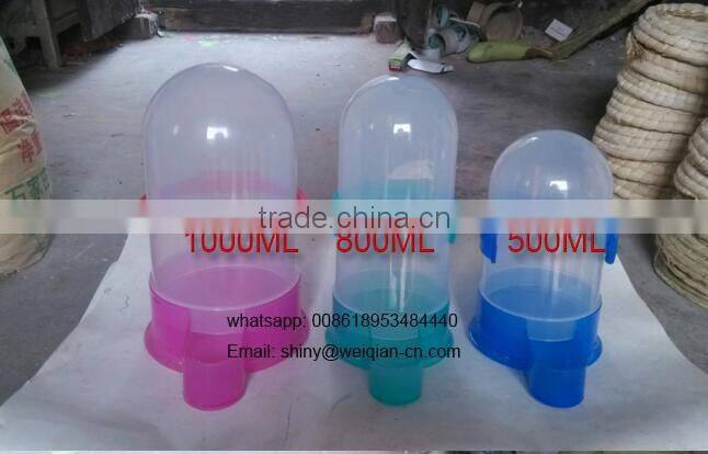 automatic pigeon water drinkers