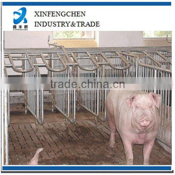 livestock equipment gestation stall