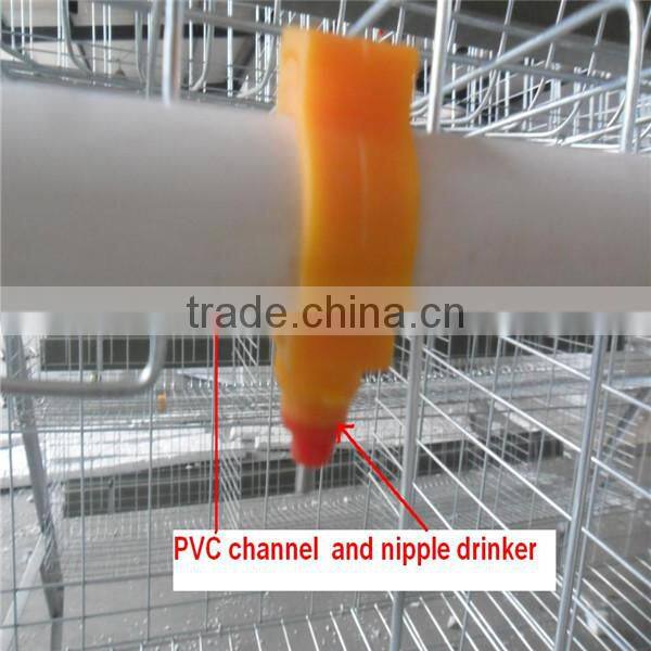 egg chicken cage/poultry farm house design