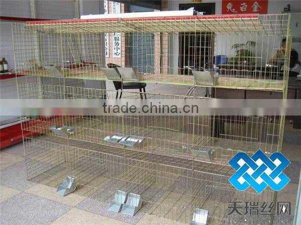 poultry cages TUV certicification hot dipped galvanized 20 years lifetime layer chicken cages with Auto water system