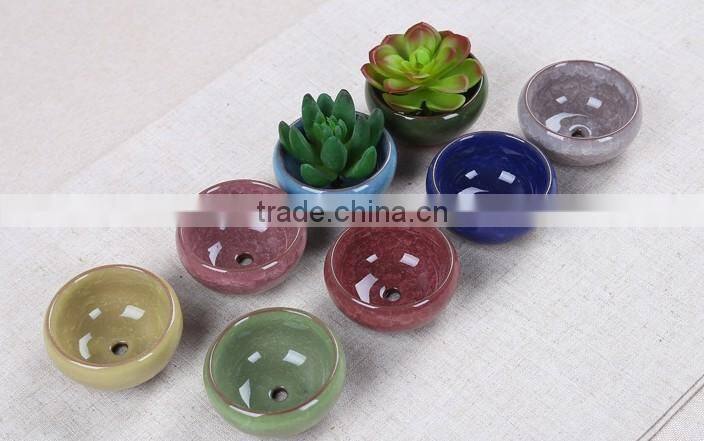 Mini Ceramic Flower Pot/Succulent