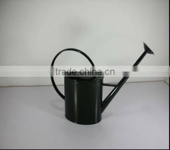Mini Metal Garden Watering Can/hand painted watering cans