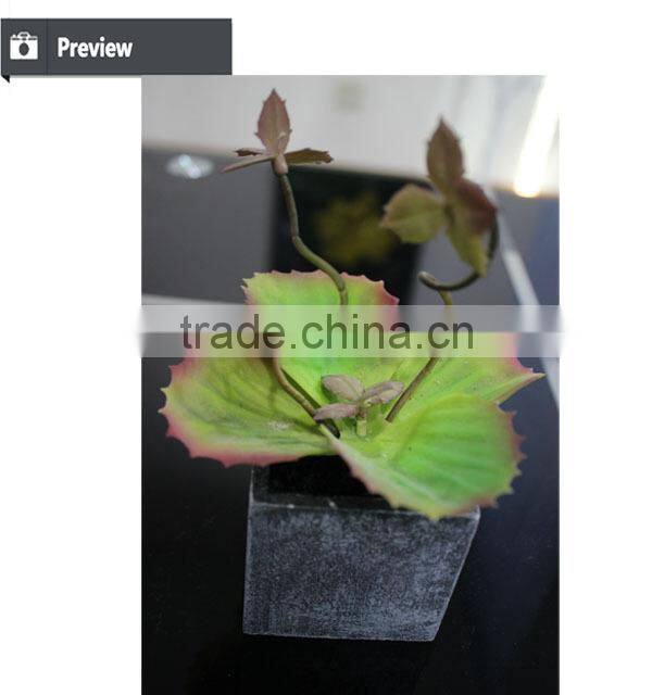Succulent plants potted succulent artificial bonsai plant succulent