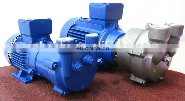 rotary vane vacuum pump