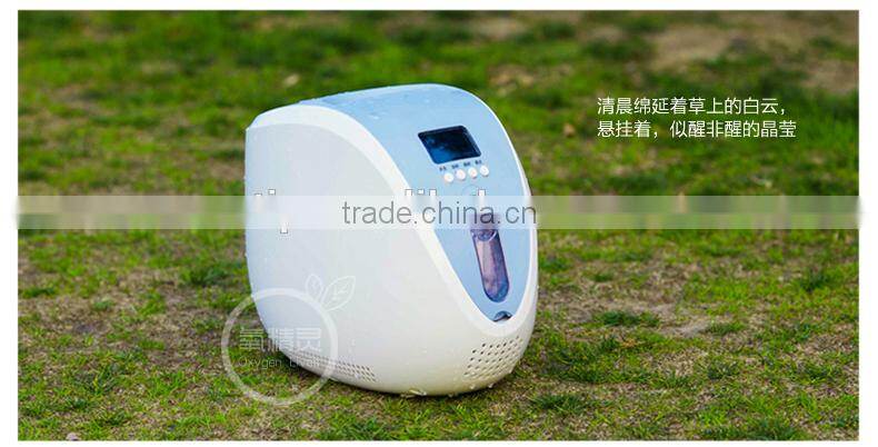 portable oxygen concentrator ZH-J10
