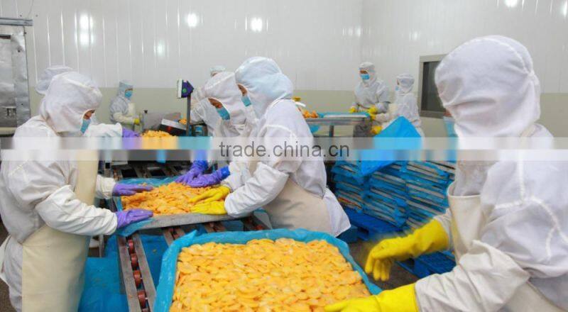 Freeze Dried Mango Dices 5mm*5mm