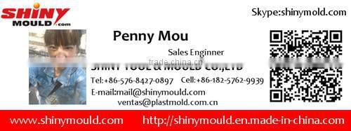 Pet Bottle Blow Mold Plastic Blow Molding Mold Blowing Mould