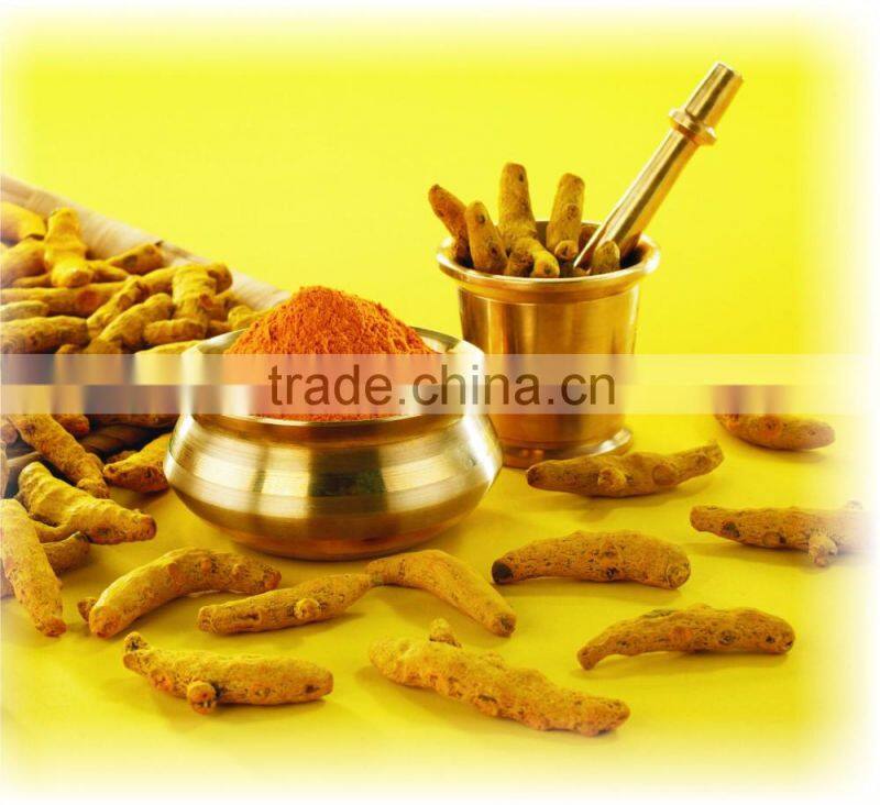 First Grade Turmeric Powder Manufacturer