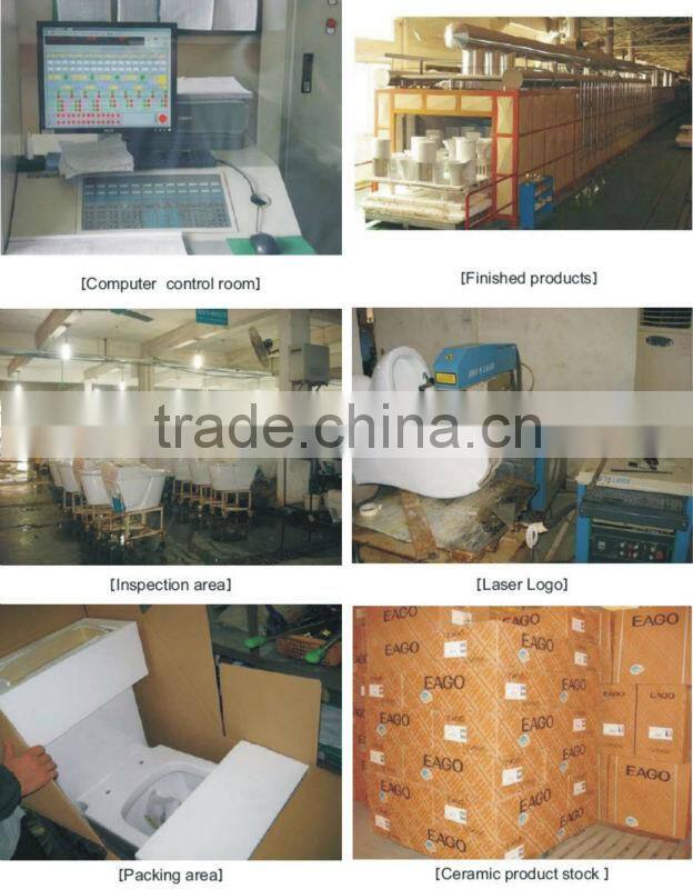 Dual flush vertical flushing 250mm toilet