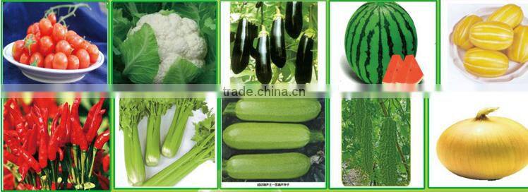 New Condition farm machinery 4rows corn/cotton/peanut seeds sowing planter machine