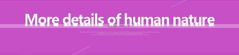 Professional Steam Cleaner clothes steamer Handheld Fabric Steamer