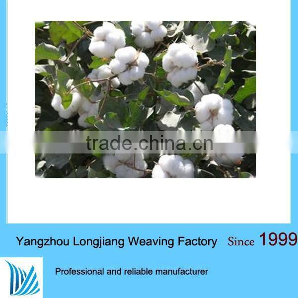 2015 pima Egypyt dyed 100 cotton yarn