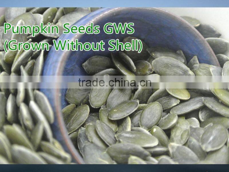 Best Selling Products Pumpkin Seeds GWS (Grown Without Shell)