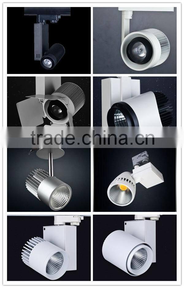 Europe market 4 wires 20W LED Track Rail Light