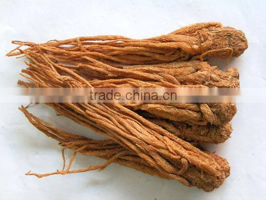 Chinese Herbal oil 100 Pure Natural Angelica sinensis Oil