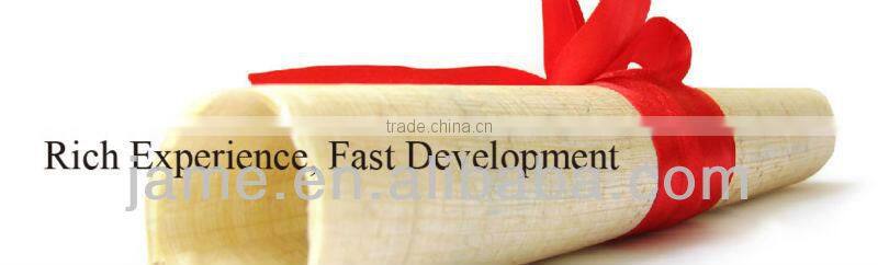 customerized Dictionary Books Printing Company