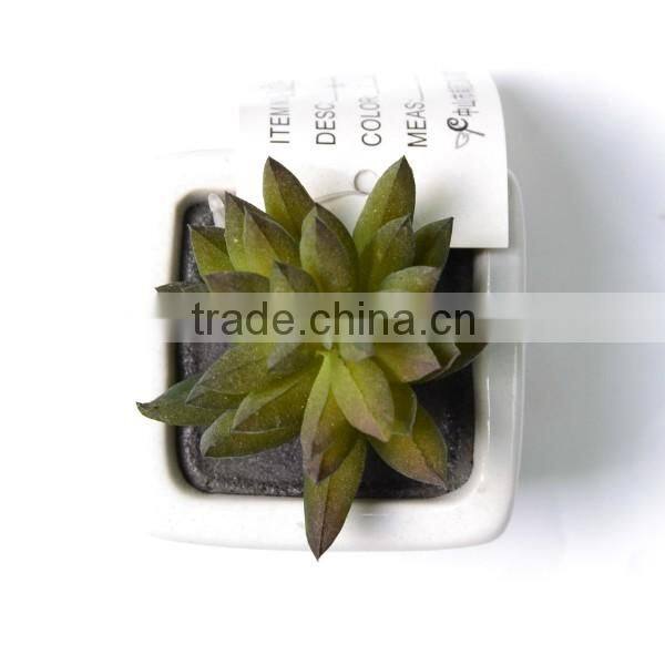 Nearly Natural Artificial Succulent Garden Desk Top Plant in Planter