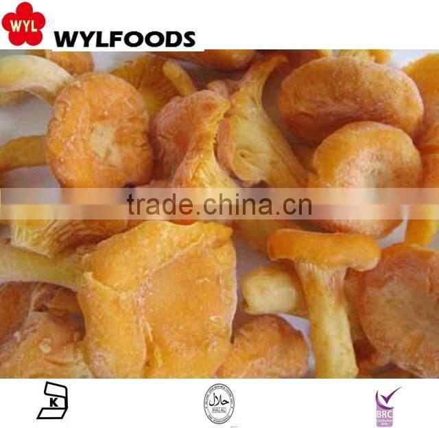 2015 IQF high quality frozen wild Chanterelles